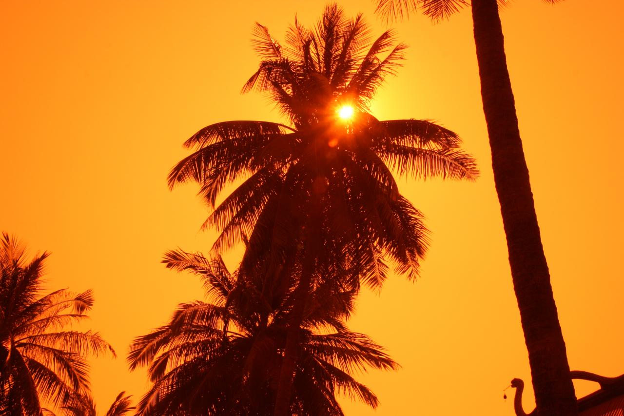 avec filtre cokin (2)