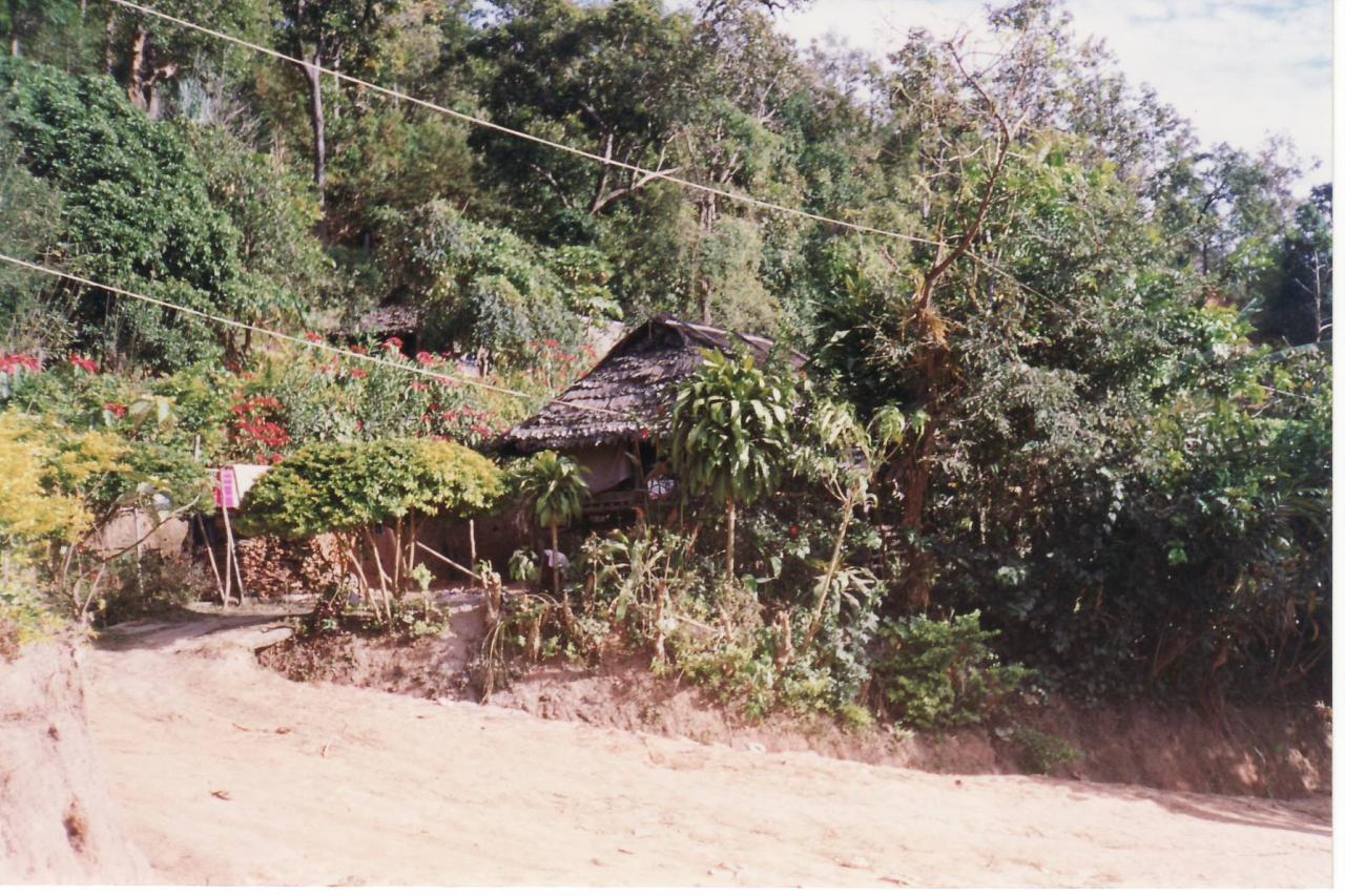 doi inthanon0007
