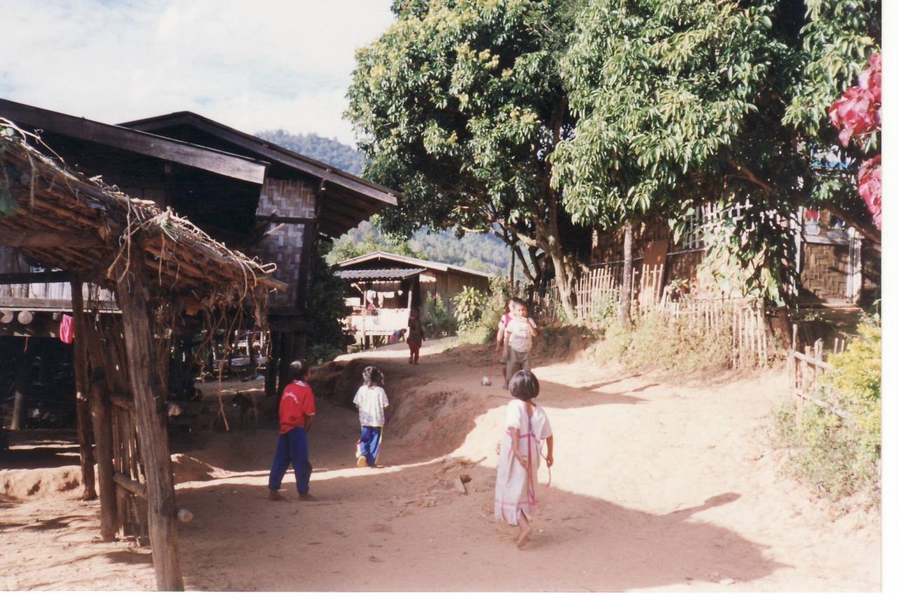 doi inthanon0008