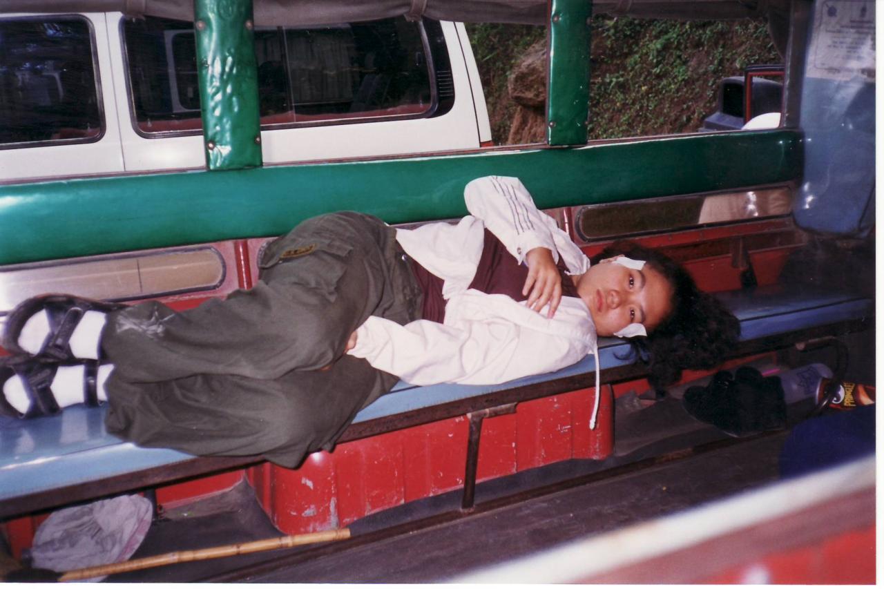 doi inthanon0010
