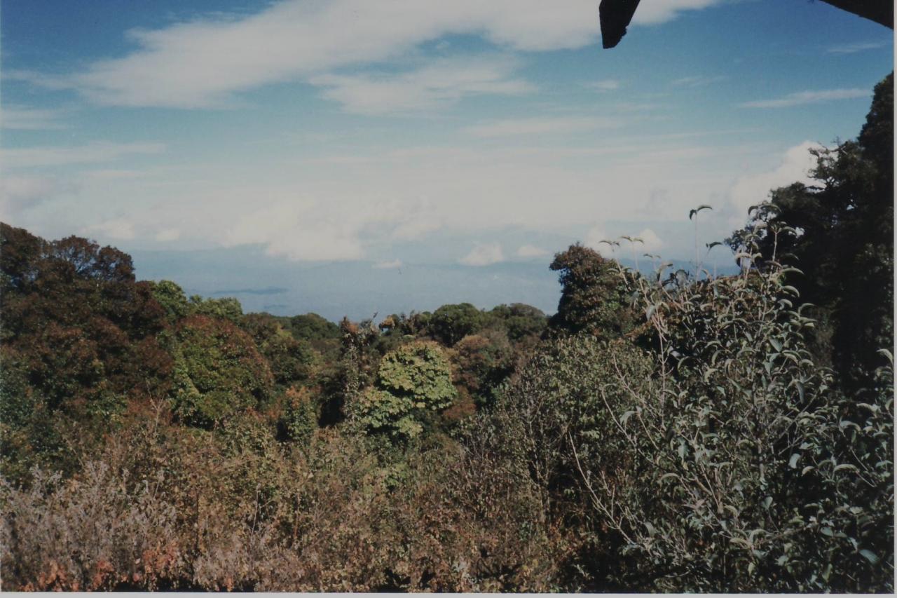 doi inthanon0013