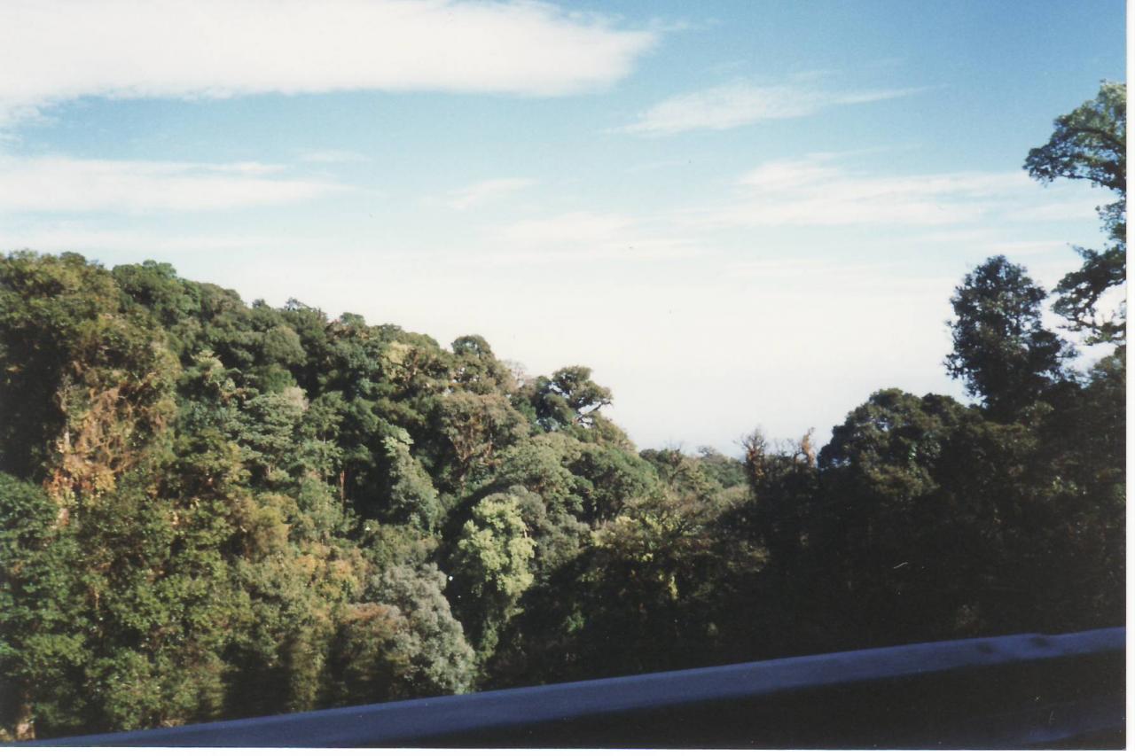 doi inthanon0015