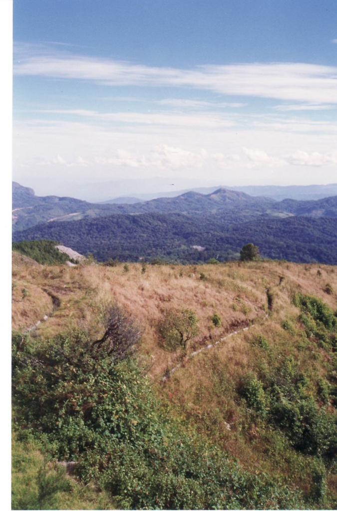 doi inthanon0021