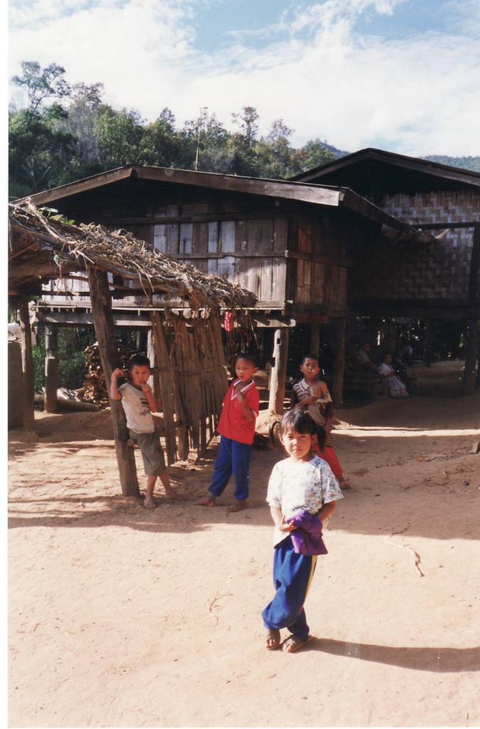 doi inthanon0024