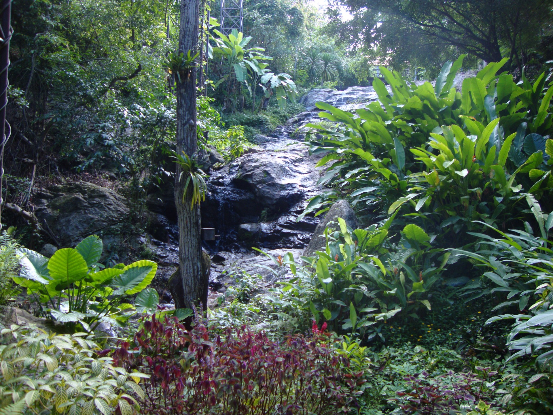 zoo de chiang mai (2013)