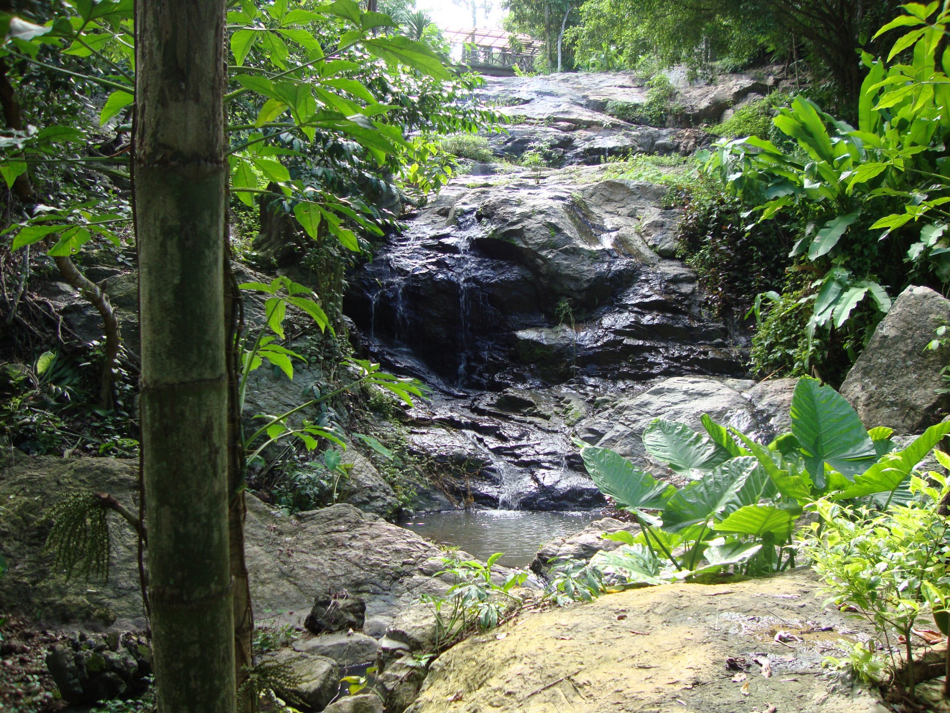 zoo de chiang mai (2013)