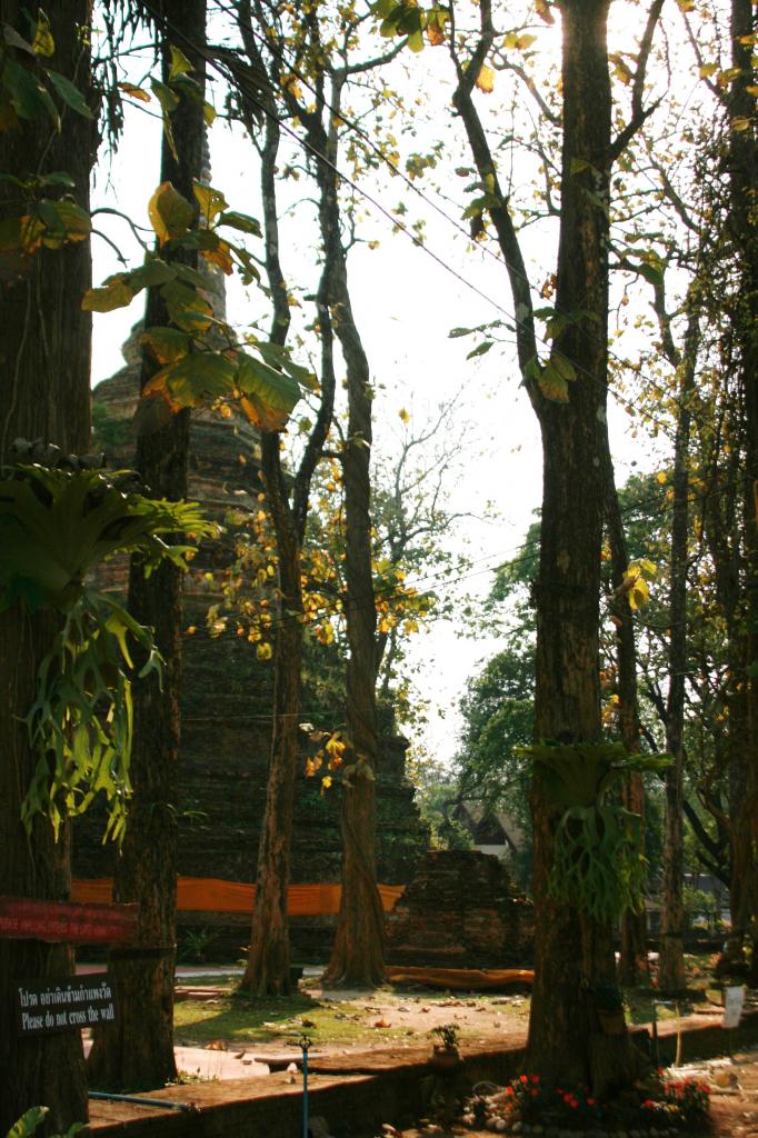 Wat-chedi-luang-Chiang-saen-21